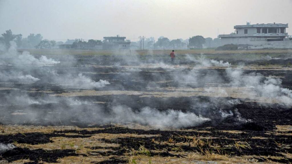 हवा को जहर बनाता दिल्ली का आत्मघाती प्रदूषण