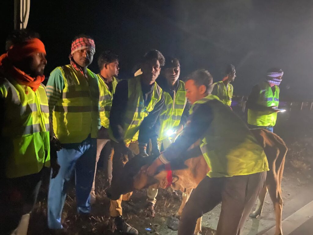 शाबाश बलौदा पुलिस: सड़क के मवेशियों व संभावित दुर्घटनाओं को रोकने किया मानवीय पहल